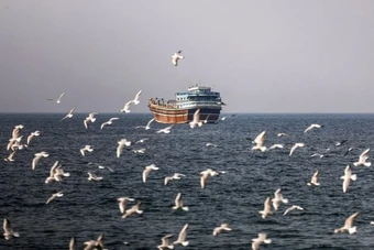 Có gì trên tàu hàng Iran bị Mỹ thu giữ trên Vịnh Oman?