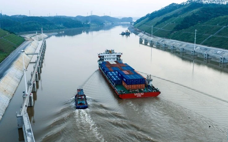 'Cơn thèm' từ Trung Quốc khiến Thái Lan chặt cao su, bỏ cà phê vì 'cây trồng vàng': Giờ Việt Nam vượt lên 'Cơn thèm' từ Trung Quốc khiến Thái Lan chặt cao su, bỏ cà phê vì 'cây trồng vàng': Giờ Việt Nam vượt lên
