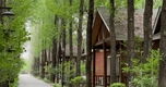 Công trình nằm sâu trong rừng rộng 187ha, bao gồm 1.180 phòng, giá phòng 27 triệu: Tưởng nghỉ dưỡng cao cấp hoá ra là… dưỡng lão