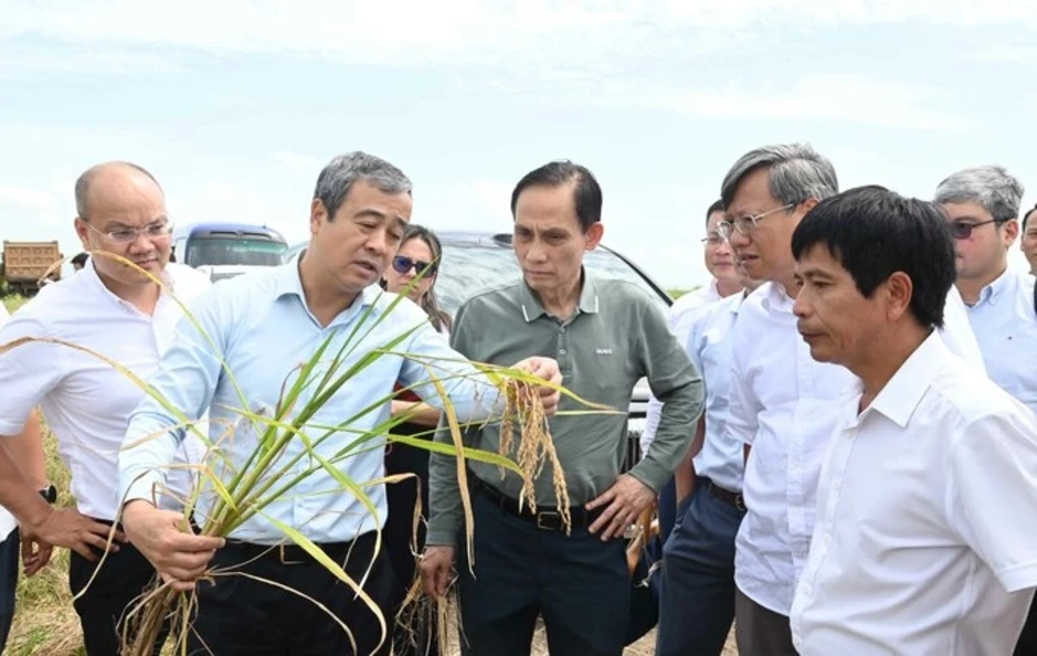 Cuba đề cao bài học từ Việt Nam trong quá trình chuyển đổi toàn diện Cuba đề cao bài học từ Việt Nam trong quá trình chuyển đổi toàn diện