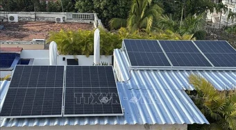 Cuba thúc đẩy cách mạng năng lượng tái tạo khi Mỹ chặn nguồn cung nhiên liệu