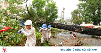 Cuộc sống đảo lộn sau khi bão Dolphin quần thảo miền Đông Trung Quốc