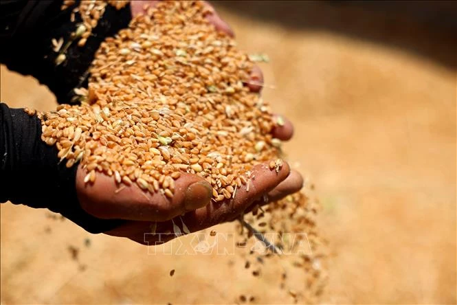 Đằng sau việc thuật ngữ 'mặt tinh bột' gây xôn xao mạng xã hội Trung Quốc Đằng sau việc thuật ngữ 'mặt tinh bột' gây xôn xao mạng xã hội Trung Quốc