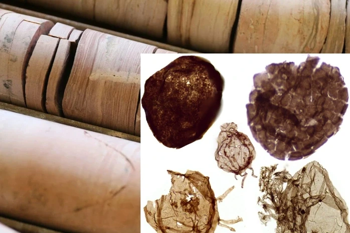 Đào mỏ, loạt sinh vật từ thế giới 1,7 tỉ năm trước lộ diện Đào mỏ, loạt sinh vật từ thế giới 1,7 tỉ năm trước lộ diện