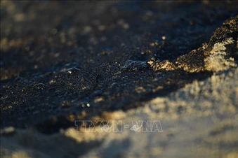 Đảo sinh thái chiến lược của Iran hứng chịu thảm họa tràn dầu