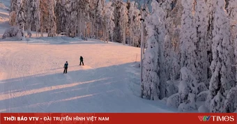 Đến Phần Lan săn vàng trong mùa Hè