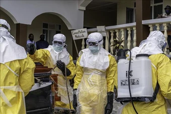 Dịch Ebola: Liên minh chống dịch bệnh tài trợ 60 triệu USD phát triển vaccine