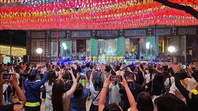 Điểm nhấn hiện đại và truyền thống tại Lễ hội Đèn lồng Hoa sen Seoul 2026 Điểm nhấn hiện đại và truyền thống tại Lễ hội Đèn lồng Hoa sen Seoul 2026