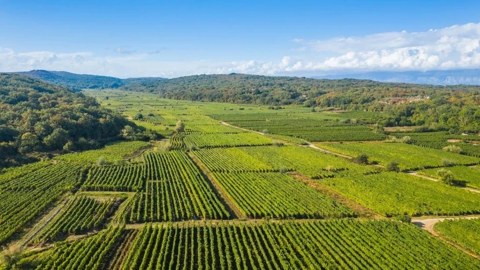 Điều tra gian lận của EU làm rung chuyển quỹ nông nghiệp Croatia