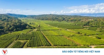 Điều tra gian lận của EU làm rung chuyển quỹ nông nghiệp Croatia