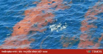 Điều tra nguyên nhân tràn dầu ven Vịnh Mexico