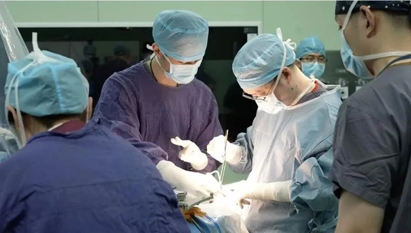 Đột phá công nghệ NEO và Neuralink: Người liệt cử động tay chân, ‘Sọ Dừa’ điều khiển máy tính chỉ bằng ý nghĩ Đột phá công nghệ NEO và Neuralink: Người liệt cử động tay chân, ‘Sọ Dừa’ điều khiển máy tính chỉ bằng ý nghĩ