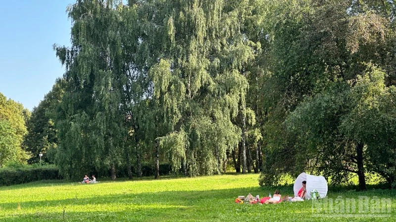Dự án "Mùa hè ở Moskva"