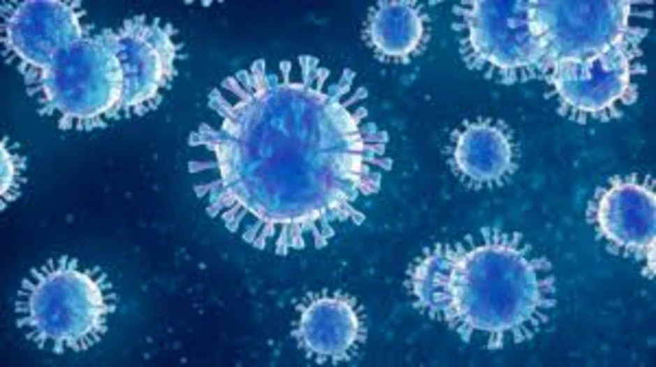 Đức ghi nhận một ca nhiễm virus Borna hiếm gặp, đặc biệt nguy hiểm Đức ghi nhận một ca nhiễm virus Borna hiếm gặp, đặc biệt nguy hiểm