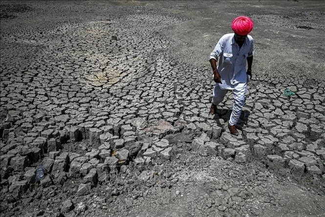 El Niño có thể đẩy thêm 49 triệu người vào tình trạng thiếu đói nghiêm trọng trước cuối năm 2027 El Niño có thể đẩy thêm 49 triệu người vào tình trạng thiếu đói nghiêm trọng trước cuối năm 2027