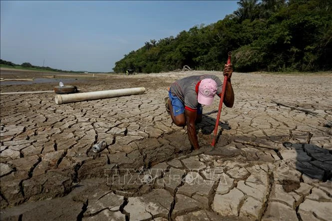 El Niño gia tăng nguy cơ cháy rừng, các nước tăng cường ứng phó El Niño gia tăng nguy cơ cháy rừng, các nước tăng cường ứng phó