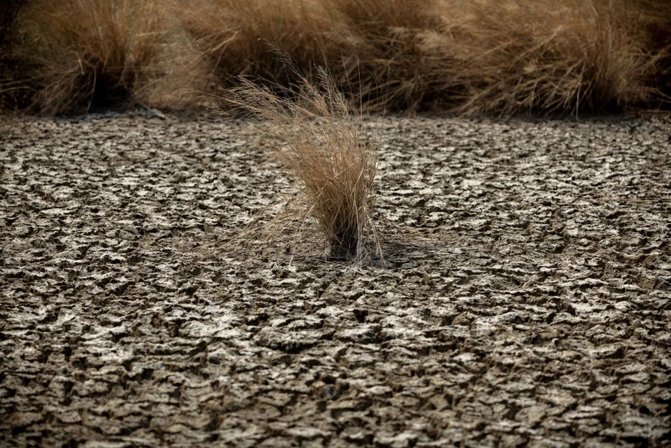El Nino có thể biến năm 2027 thành năm nóng nhất lịch sử El Nino có thể biến năm 2027 thành năm nóng nhất lịch sử