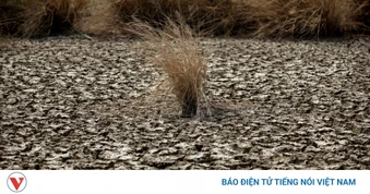 El Nino có thể biến năm 2027 thành năm nóng nhất lịch sử