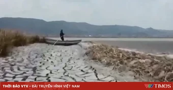 El Nino có thể đẩy gần 49 triệu người rơi vào tình trạng thiếu lương thực