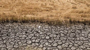 El Nino có thể kích hoạt cuộc khủng hoảng giá hàng hóa toàn cầu