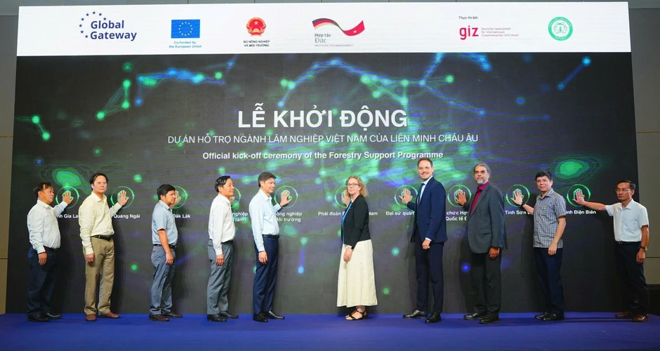 EU hỗ trợ Việt Nam phục hồi và quản lý bền vững rừng tự nhiên EU hỗ trợ Việt Nam phục hồi và quản lý bền vững rừng tự nhiên