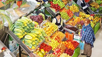 EU thúc đẩy hợp tác với Nam Mỹ và Australia
