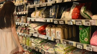 FAO cảnh báo hậu quả lạm dụng kháng sinh trong chăn nuôi