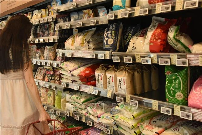 FAO cảnh báo nguy cơ xảy ra cuộc khủng hoảng lương thực toàn cầu FAO cảnh báo nguy cơ xảy ra cuộc khủng hoảng lương thực toàn cầu