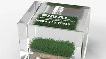 FIFA bán mảnh cỏ sân chung kết World Cup giá 450 USD - Báo TinVina