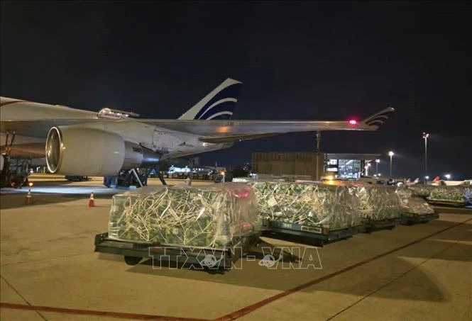 Gần 100 tấn rau quả Việt chinh phục thị trường UAE Gần 100 tấn rau quả Việt chinh phục thị trường UAE