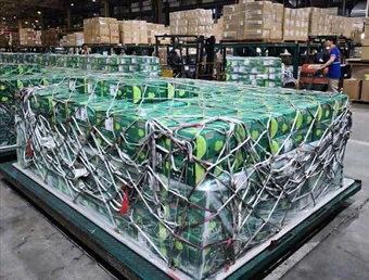 Gần 100 tấn rau quả Việt chinh phục thị trường UAE