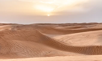 Gần 50 người chết khát giữa sa mạc Sahara