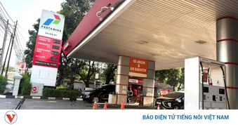 Giá dầu diesel tăng cao, người dân Indonesia cân nhắc dùng nhiên liệu sinh học B50