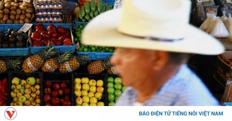 Giá lương thực thế giới tăng do nắng nóng và bất ổn địa chính trị