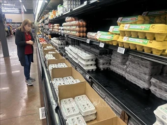 Giá trứng tại Mỹ 'hạ nhiệt': Người tiêu dùng hưởng lợi, nhà sản xuất chịu áp lực