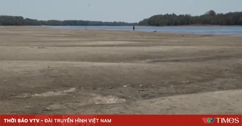 Hạn hán buộc một số quốc gia châu Âu giảm công suất điện