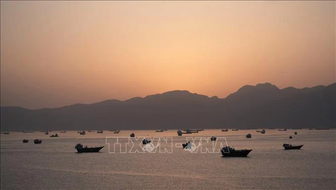 Hàn Quốc điều tra vụ hỏa hoạn trên tàu chở hàng tại eo biển Hormuz Hàn Quốc điều tra vụ hỏa hoạn trên tàu chở hàng tại eo biển Hormuz