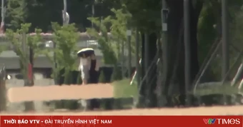 Hàn Quốc huy động mọi nguồn lực ứng phó nắng nóng kỷ lục