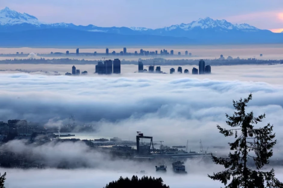 Hàng nghìn người Mỹ nhập tịch Canada diện huyết thống Hàng nghìn người Mỹ nhập tịch Canada diện huyết thống