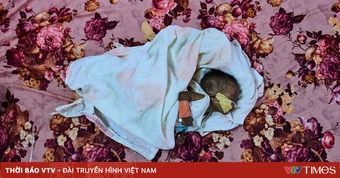 Hàng triệu người tại Sudan sống sót chỉ với 1 bữa ăn mỗi ngày