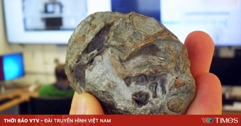Hóa thạch 250 triệu năm hé lộ phát hiện mới về tổ tiên động vật có vú