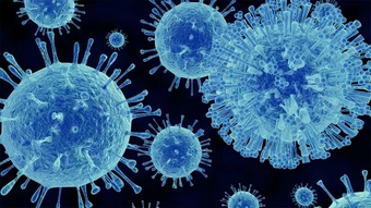 Hơn 1.700 người bị cách ly trên du thuyền sau khi 1 trường hợp tử vong do nghi nhiễm norovirus
