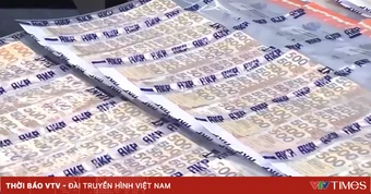 Hong Kong (Trung Quốc) triệt phá đường dây lừa đảo xuyên quốc gia