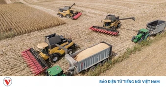 Hungary công bố gói cứu trợ cho nông dân bị ảnh hưởng do hạn hán và nắng nóng