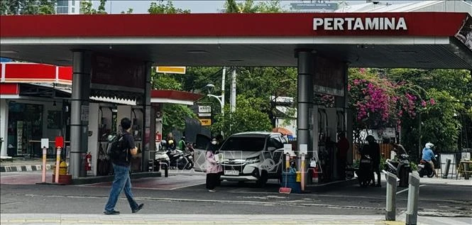 Indonesia dự kiến nhiên liệu sinh học B50 sẽ tiết kiệm hơn 9 tỷ USD ngoại hối Indonesia dự kiến nhiên liệu sinh học B50 sẽ tiết kiệm hơn 9 tỷ USD ngoại hối