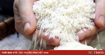 Indonesia lập kỷ lục dự trữ gạo trước nguy cơ mùa khô kéo dài