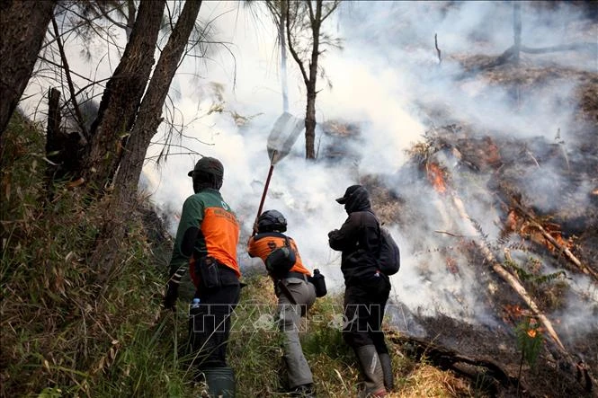 Indonesia ứng phó cháy rừng tại hai núi lửa Bromo và Gede Indonesia ứng phó cháy rừng tại hai núi lửa Bromo và Gede