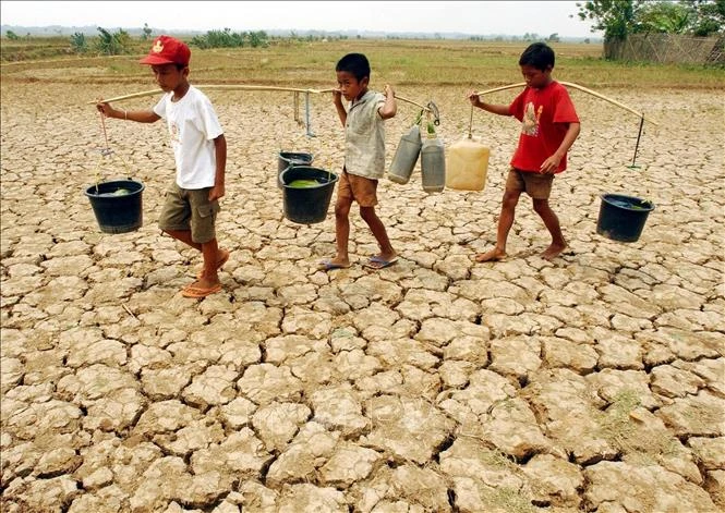 Indonesia xây dựng kịch bản ứng phó El Nino Indonesia xây dựng kịch bản ứng phó El Nino