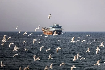 Iran chỉ cho phép tối đa 15 tàu đi qua eo biển Hormuz mỗi ngày