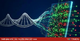 Israel phát triển xét nghiệm máu chi phí thấp giúp phát hiện sớm ung thư phổi
